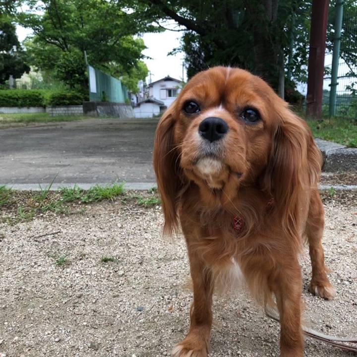 B9c72c71 59c7 4ac0 bad3 4a17ae324d71 1559472485910