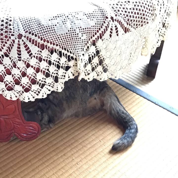 B9c79ab5 8399 4bc7 8976 da9c68664121 1623129782788