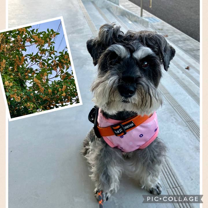 B9c7b843 4233 4e2c 85e0 daff795705a3 1728768354963