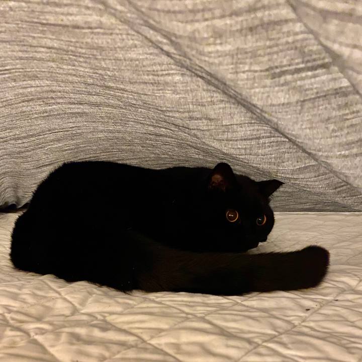 B9c7e54b a287 4f8c 966a a17e10f9a525 1601976746665