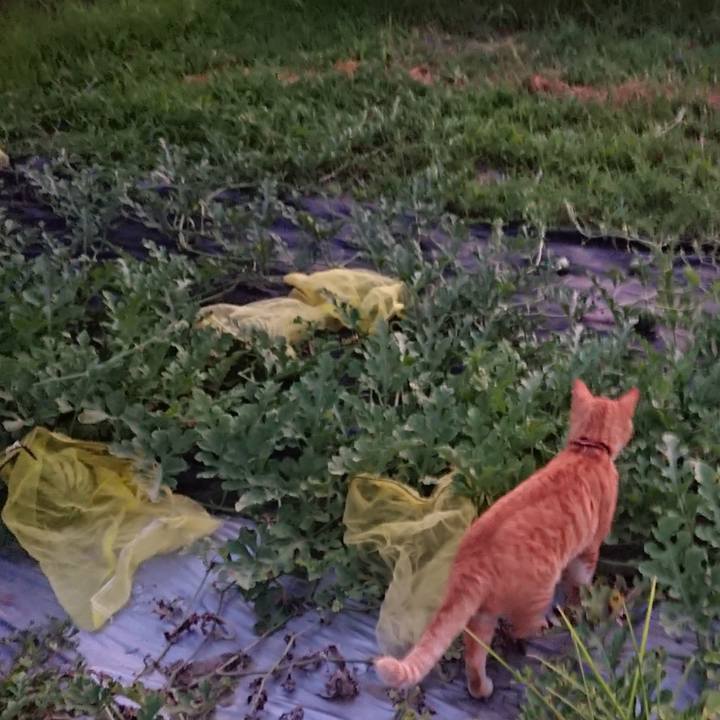 B9c7ef1d c5f8 44de 8ab5 90ae757172dc 1565000008108