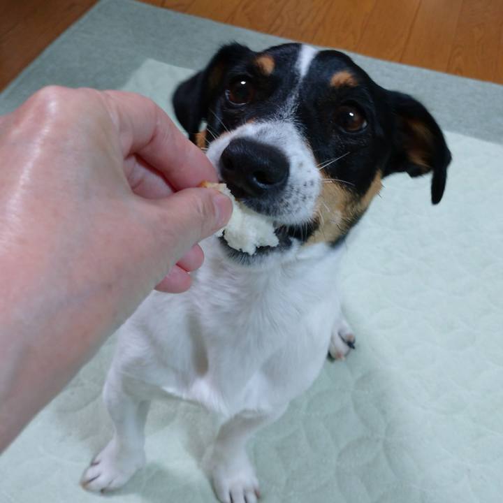 B9c80afc 5aac 4a29 93d4 a601f934e983 1590317954544