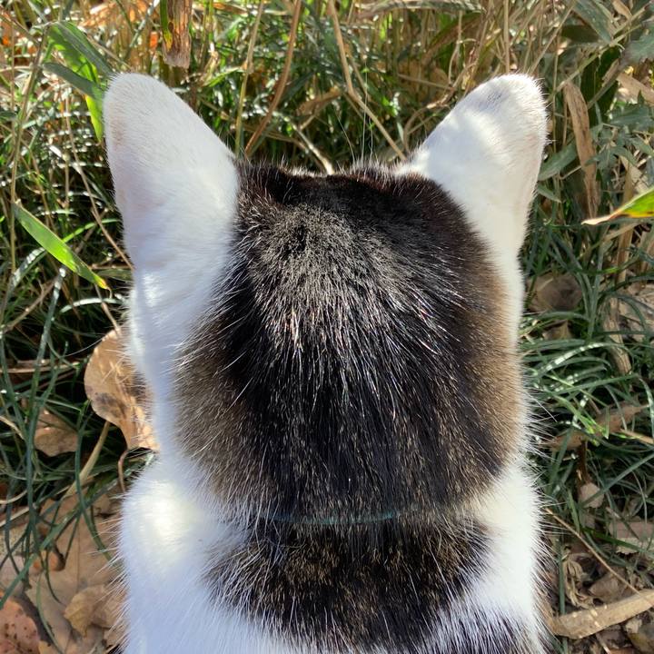 B9c82303 4c75 4354 8b24 11ef17a8b17a 1609408227833