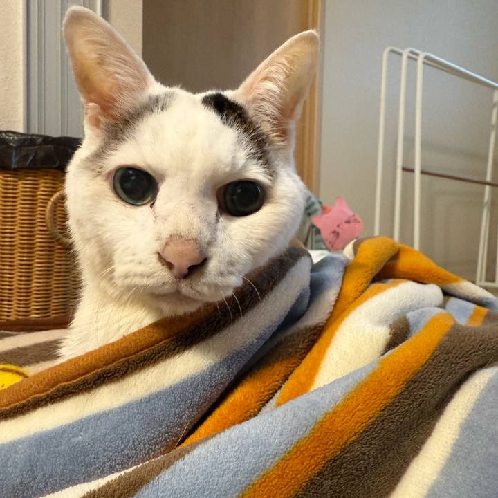 B9c8258e c892 4e53 8364 ca5b38febbf3 1765410318939