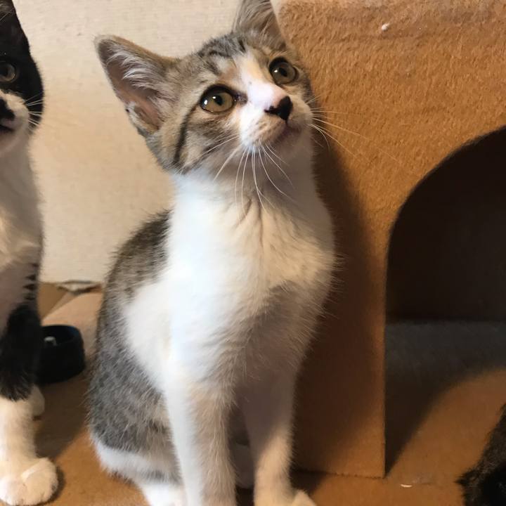 B9c88821 7167 480e 89a7 7066f8d830d2 1596632194450