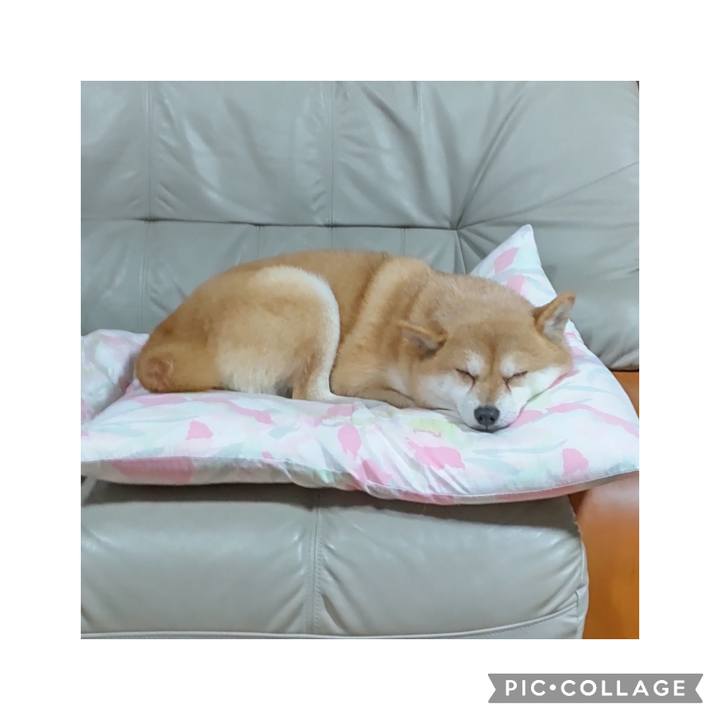 B9c88cef 2f11 4b70 a9e4 d262cc36c94c 1767184257539