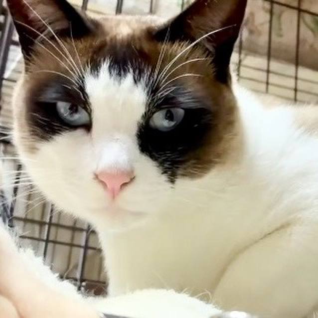 B9c890f5 91d4 461c 9cb4 08dfbb8efc9c 1748597914882