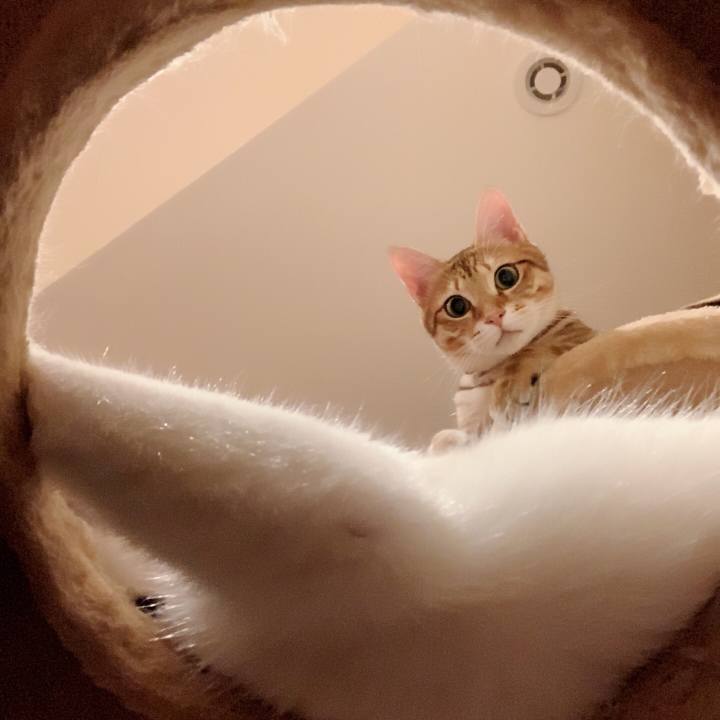 B9c8cb8f fc59 4e02 8854 f1f7ad6fba62 1566053764961