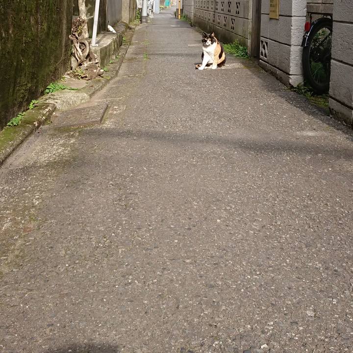 B9c8e885 a483 43c5 b33f f1e8e7b5551e 1681779996560