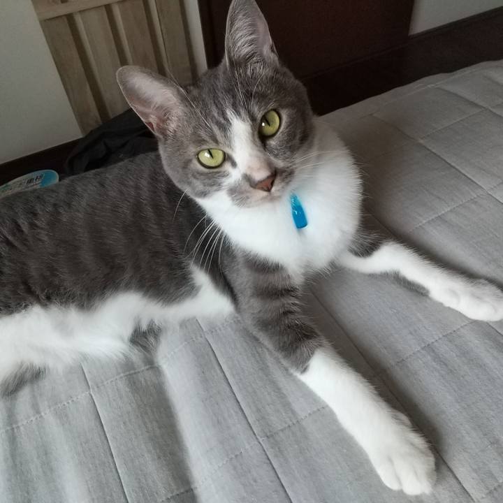 B9c90969 9a6c 4174 8450 4c2e6d987a81 1596839245663