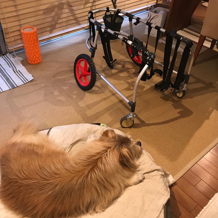 B9c92ba4 c0c5 4af3 a33e 29a8e222237a 1649978729488