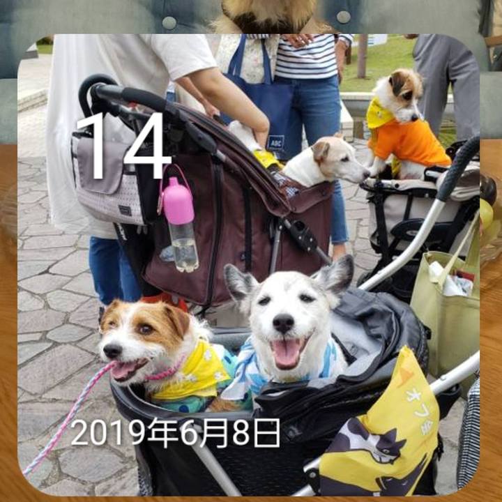 B9c9405a bc77 47d5 9497 ce3f84b2faa3 1655172272182