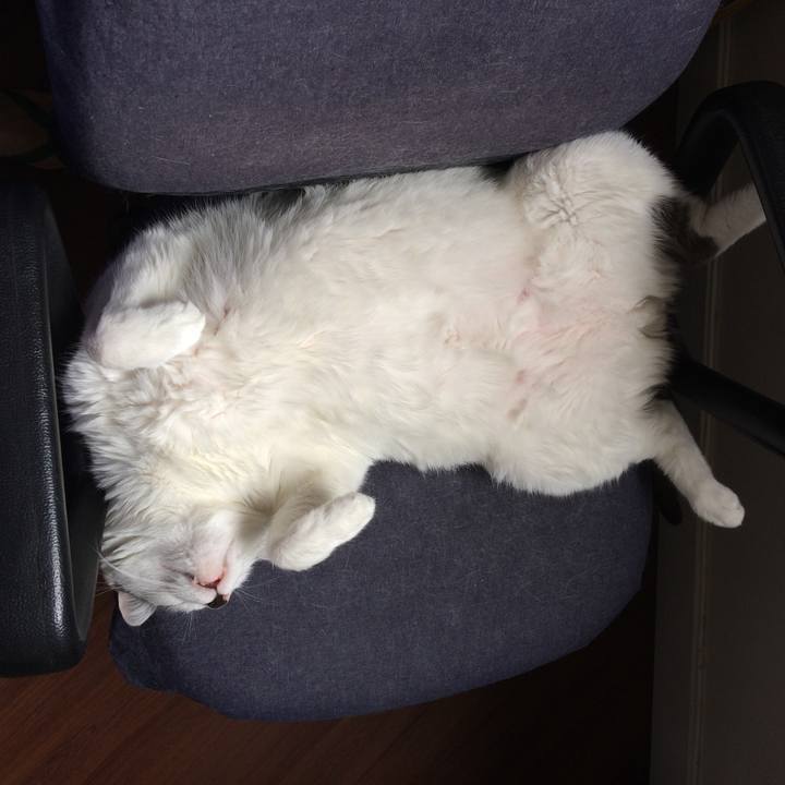 B9c98a51 8dec 4bbf b149 22e7c922dbd5 1519591479561