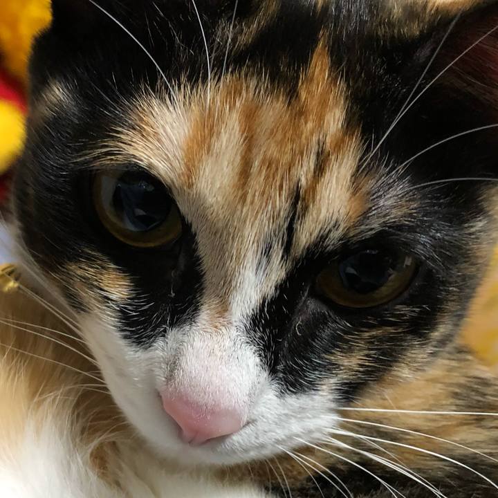 B9c9a2fa fab5 4a25 9eca 993b80e65ae7 1566045967526