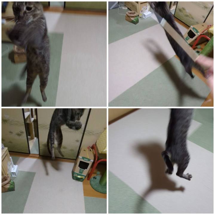 B9c9cb7c 0026 4b6c 8c6c bfb603d23afa 1765946155071