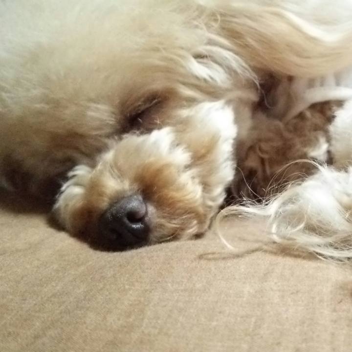 B9c9ebfe 2eff 47b9 b479 79a989eb2607 1536930589644