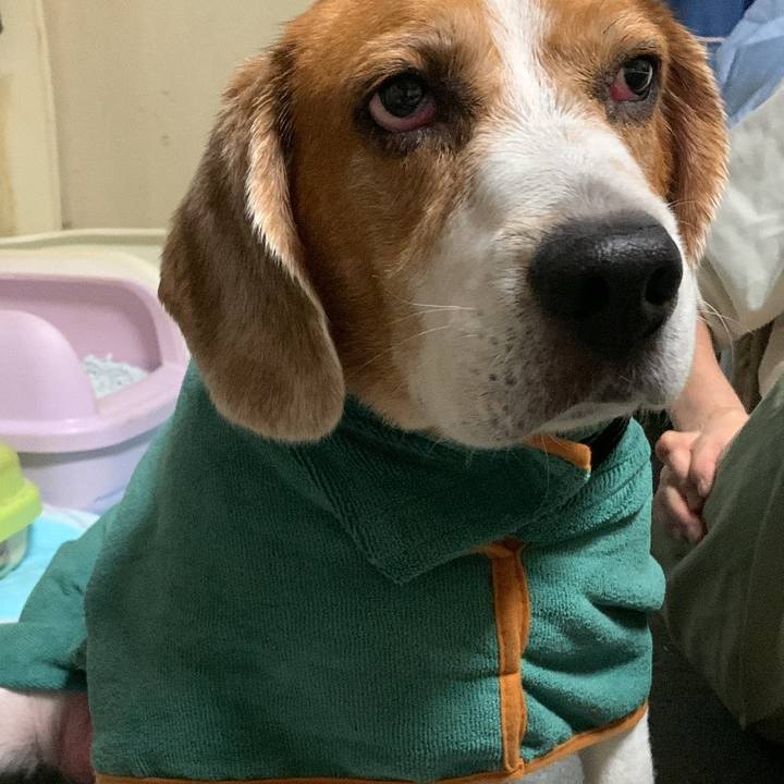 B9ca0dc2 cdd5 4d87 8eae c6972f20f13a 1722683255367