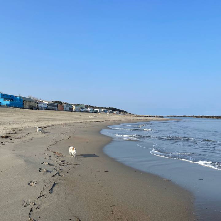 B9ca5a51 cded 4c78 96c3 ce1252866c8d 1743809373612