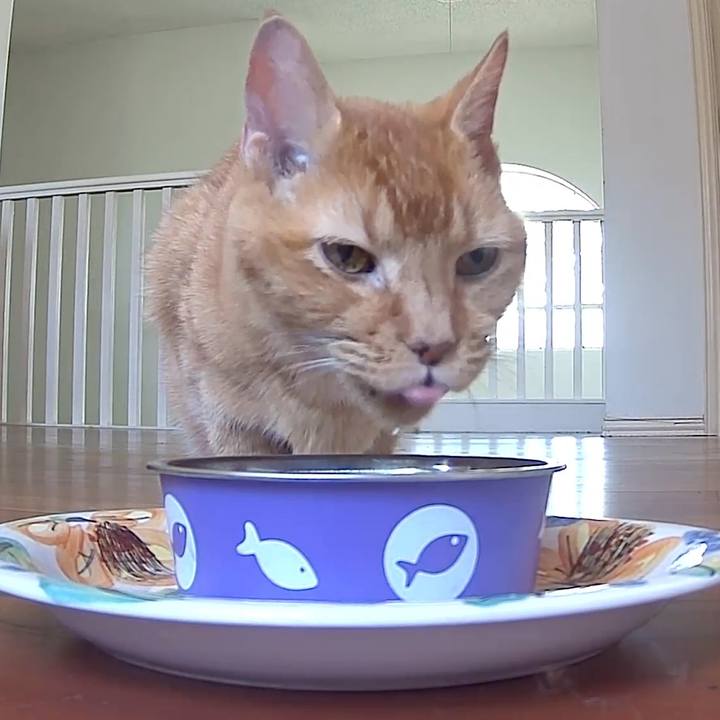 B9cac426 5484 4971 b9c5 c2e7ea21a18e 1743910134173