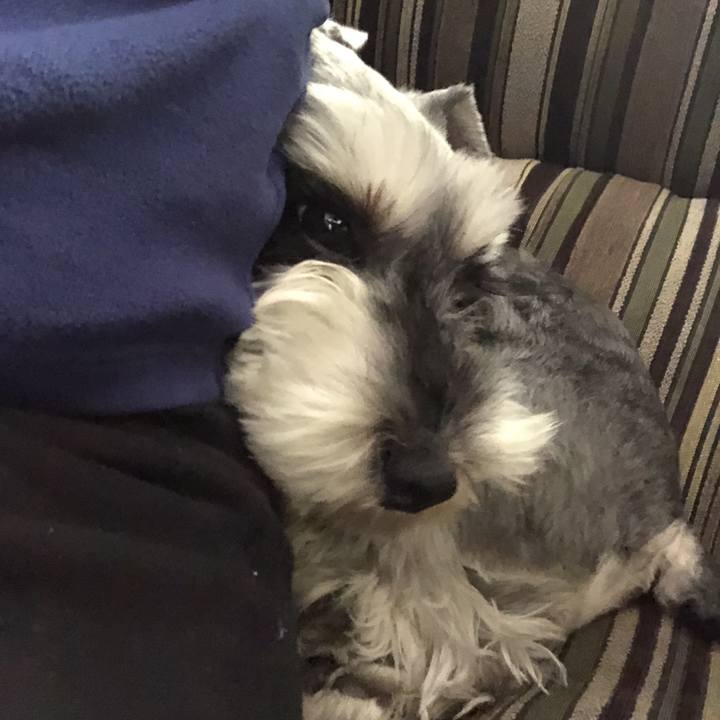 B9cad0c1 b6d3 4fff 96c2 b3cb525ccd97 1521945623596