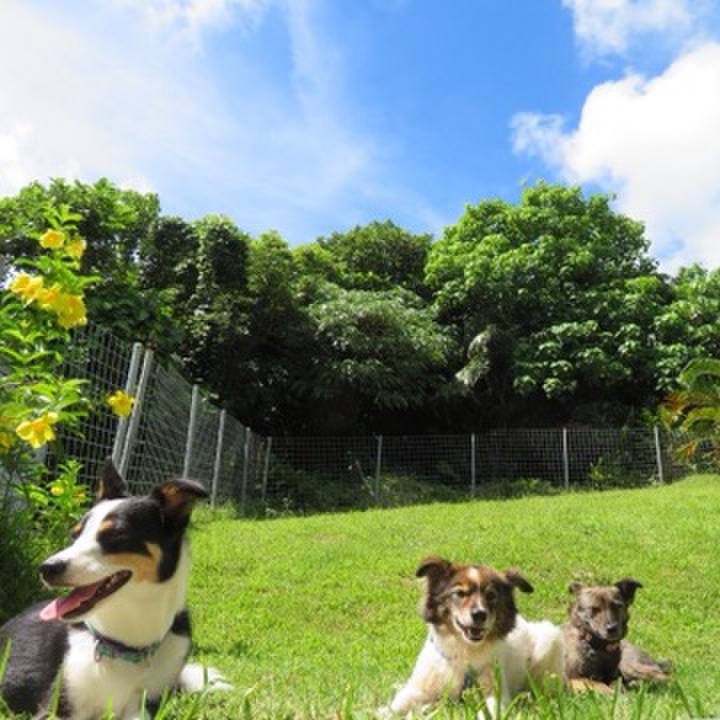 B9cb3930 61ca 48ec 97ed 46555db8e510 1592272556563