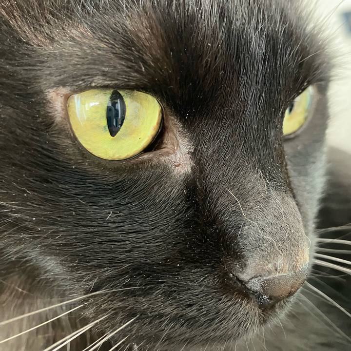 B9cb4b63 7e8b 4610 b050 5cb41354e31e 1774083254133