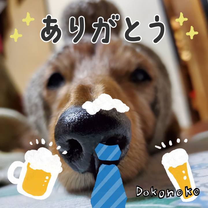 B9cc019a ba64 4b3a ae3b 97a7dd5da30b 1717897748984