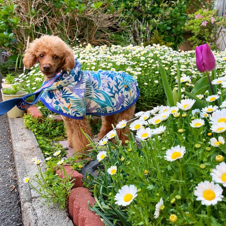 B9cc2417 d29c 41a4 9368 c26e5b26a900 1649556395366