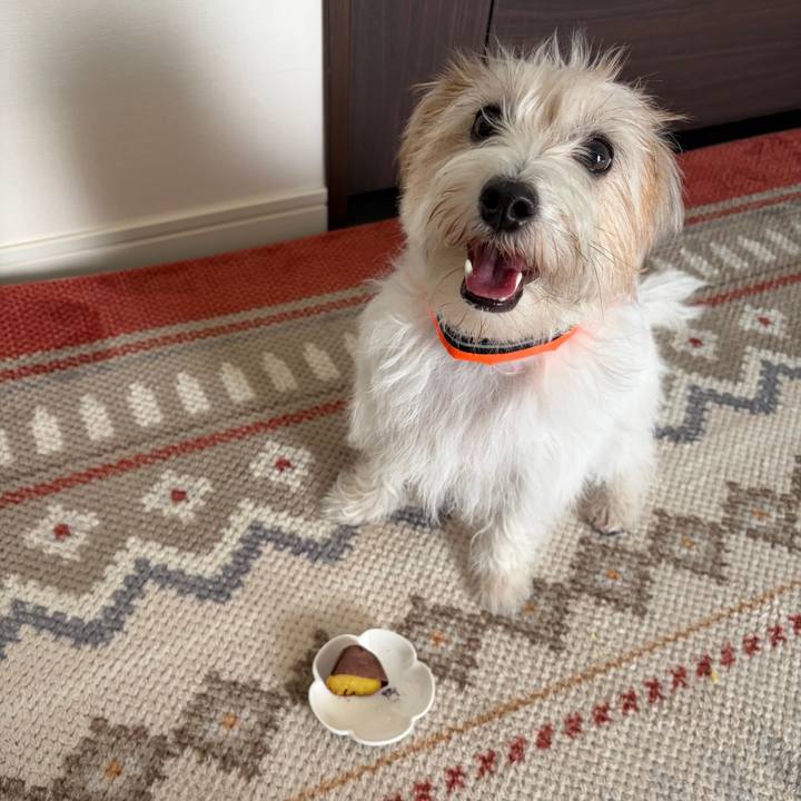 B9cc61b8 4996 498f 84ce 1f8ccdedde0e 1763957665121