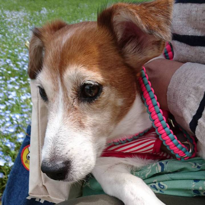 B9cc64c0 f93c 4586 86bc ff05e7d7e735 1561470672693