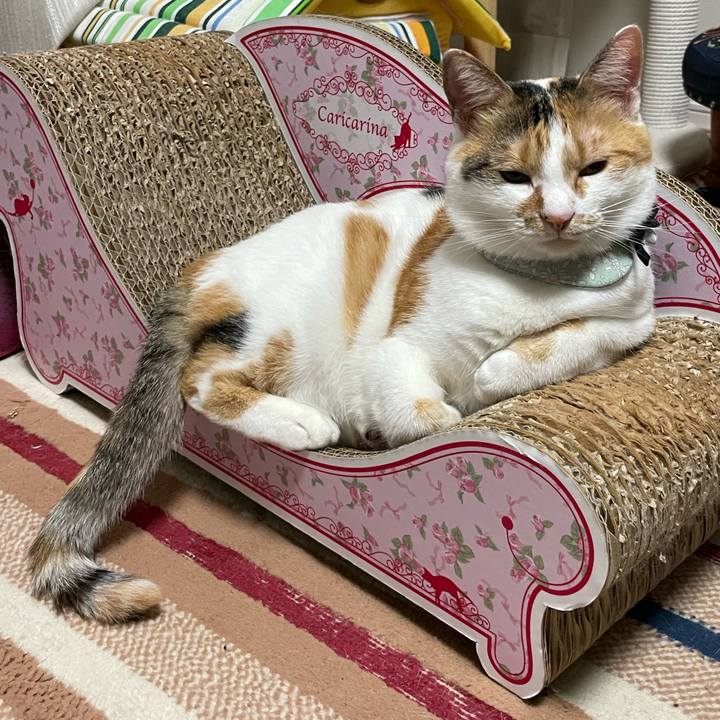 B9cc8e53 b319 4520 ae31 061dd3ad1692 1664117930418