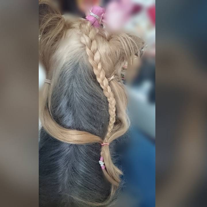 B9ccadc0 eb42 4e8a 8719 de0d057524ae 1633163205336