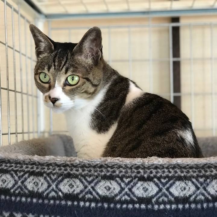 B9ccc031 7c8a 4a2f b4b0 e5e955d613a2 1522028125745