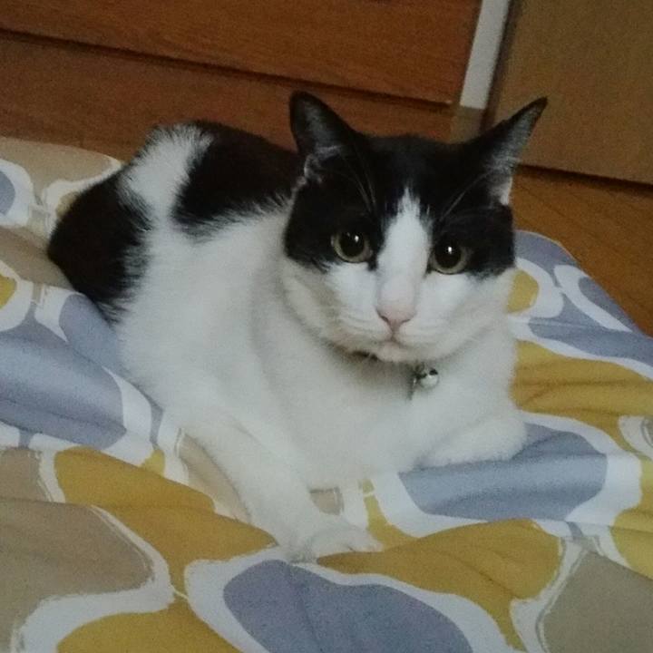 B9ccf6cc 5247 47a6 bd08 a492403bff72 1534806536939