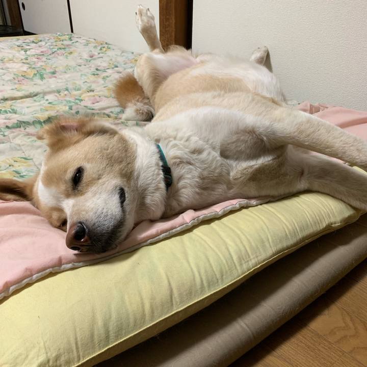 B9ccfe1b b215 442d 8f3e 56f984952817 1561385095518