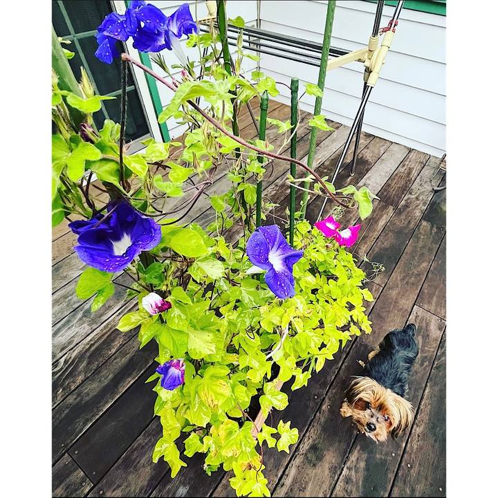 B9cd3b9f b504 40f8 877a 0b761e53d39f 1660773717362