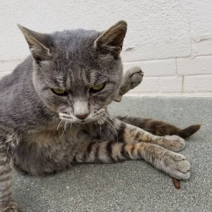 B9cd4825 9c4a 4ddc 9266 3765c562ce8c 1536571082474