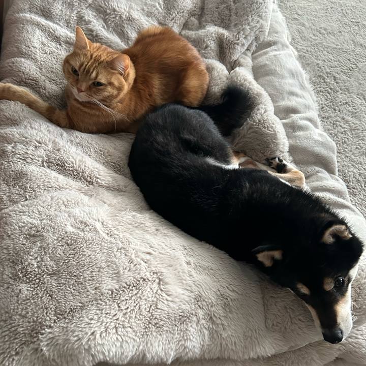 B9cd4a4f eef0 495c 9301 96085905e449 1711269153294