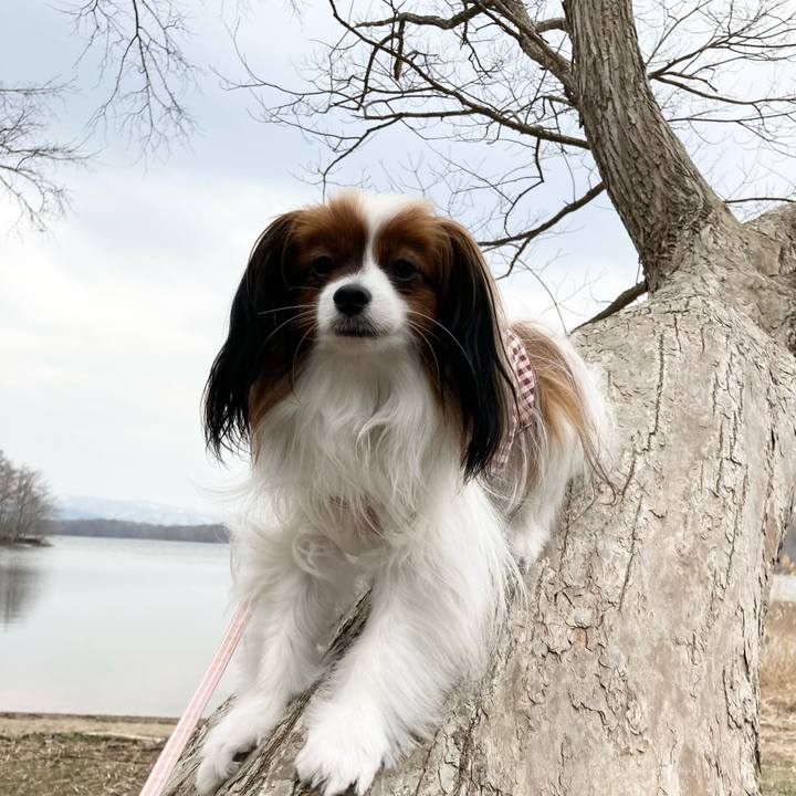 B9cd54dc 534d 43bd 80c8 53f4e6ce9e3b 1649570634543