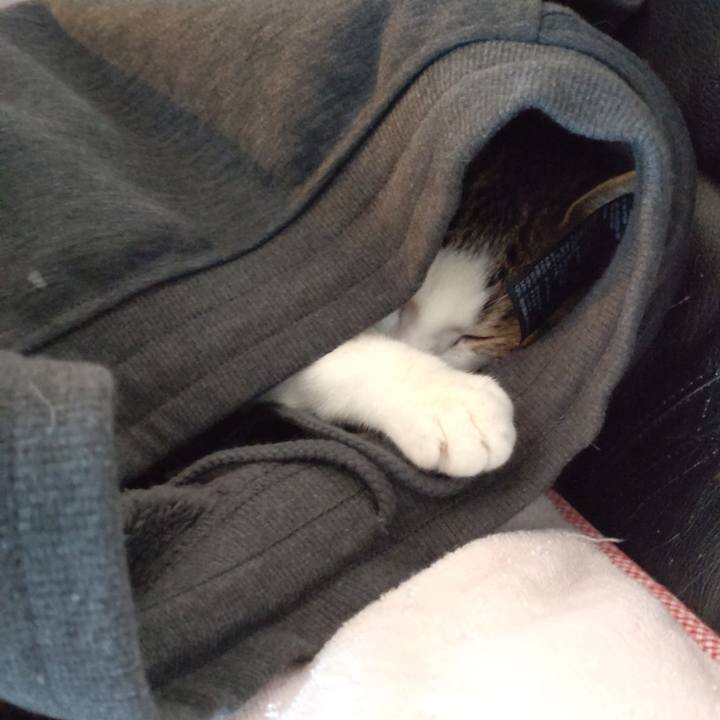 B9cdf108 3ded 4e80 8df0 6ba5e596fe43 1673668991936