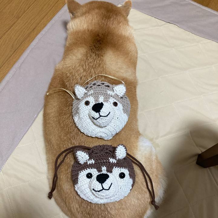 B9ce29c5 d293 41fd b223 ada507c0db1d 1622542075834