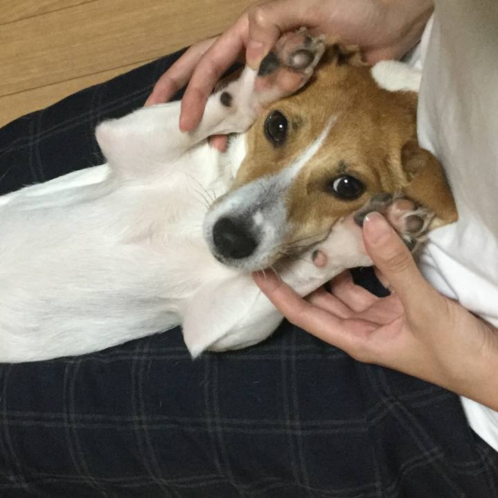 B9ceb140 c036 4fa1 bd50 79db7e126885 1507891659536