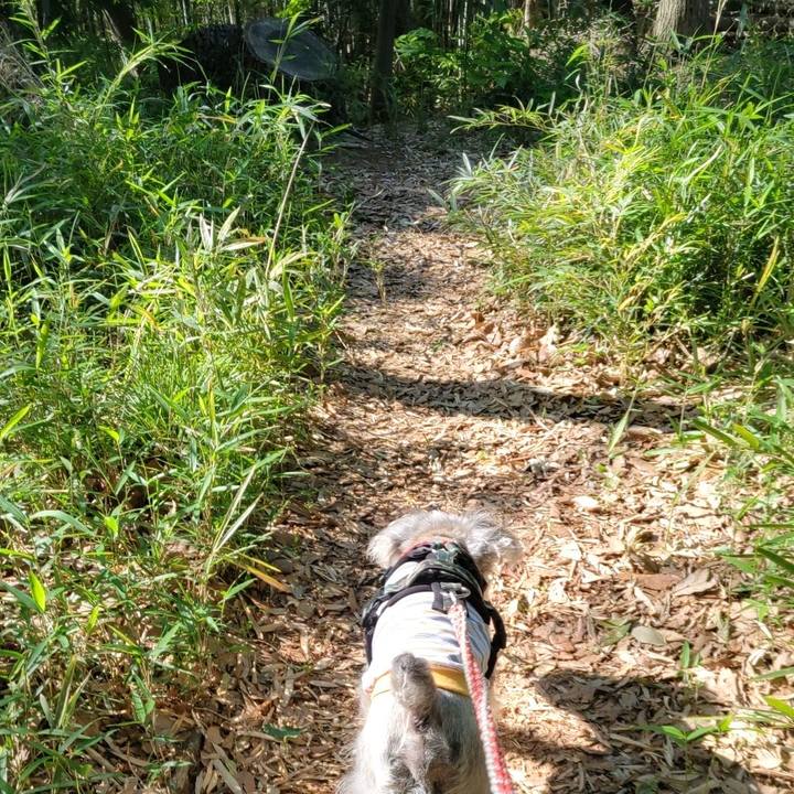 B9cec415 64d1 49b3 a7af 2617a60e8270 1683085142000