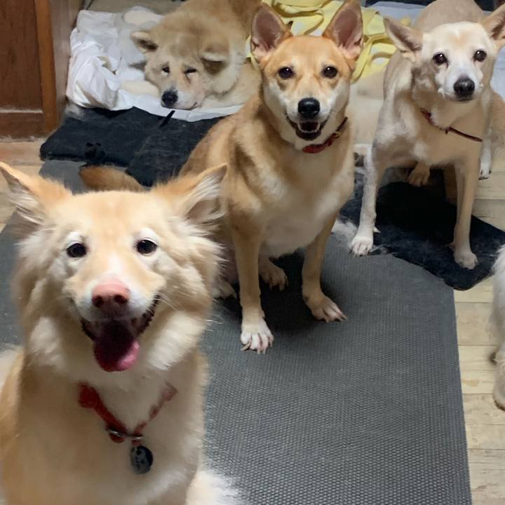 B9ced1d8 3672 4cd3 806c d4f86be007da 1664721322537