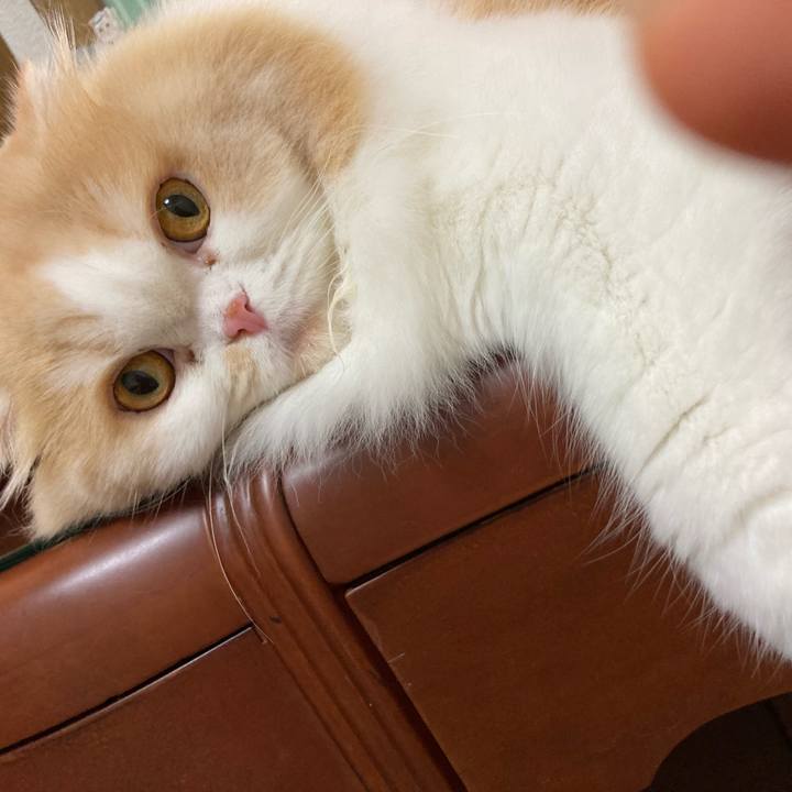 B9cf0438 4d72 4a91 ae5c 732a9118979b 1629973263004