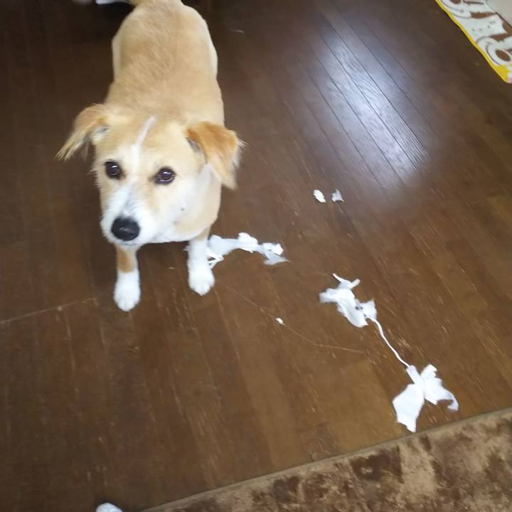 B9cf15d5 9ad5 40ce bfce dfe0fceb483b 1551509389853