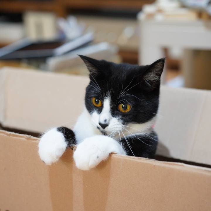 B9cf78eb 11f2 4f44 a12c e7b9b9a1112f 1622467746694