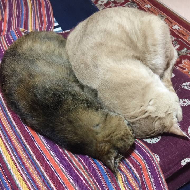 B9cf946f 33ff 4112 b889 03c673e14263 1556069424887