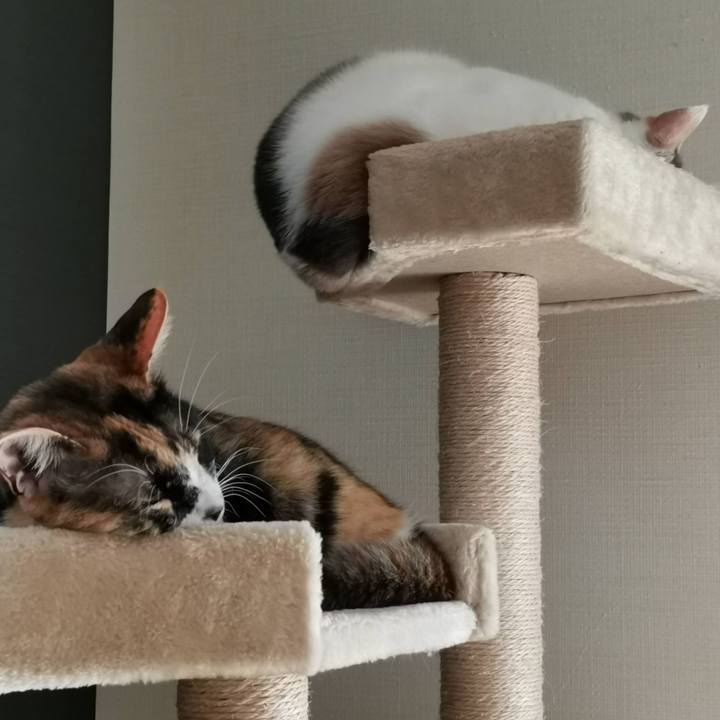 B9cf95f1 f2c9 4f06 b26a cff38f672ee5 1627379132851