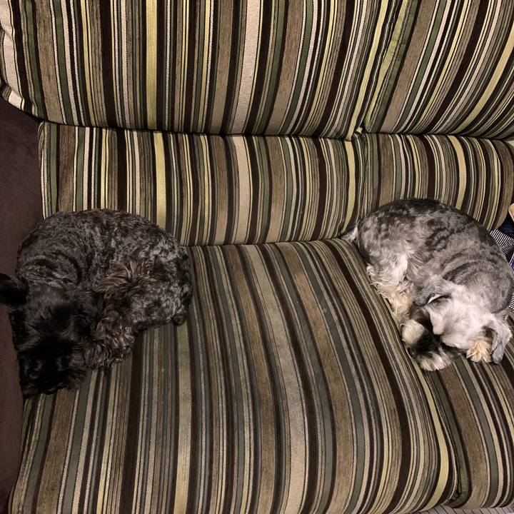 B9cf96ec 7f5b 46d0 b4c5 69960abbf8d7 1603550934251